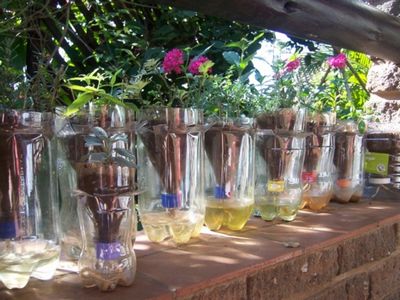 Self Watering Planters Using Bottle Cap