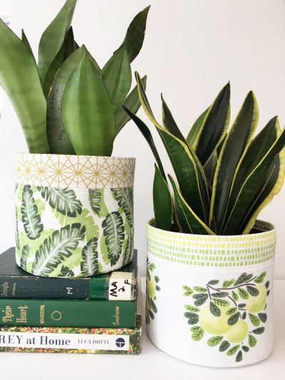DIY Fabric Planter Pot Craft