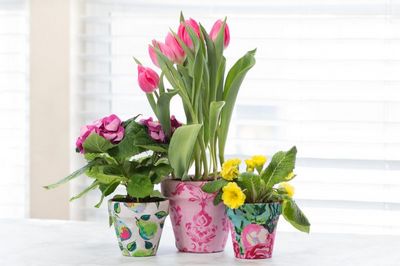 Decorate Your Flower Pots With Fabric 