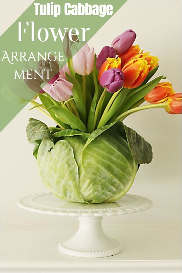 Tulip Cabbage Flower Arrangement