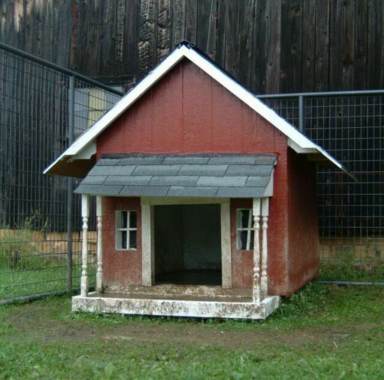 ‘In The Dog House’ Project