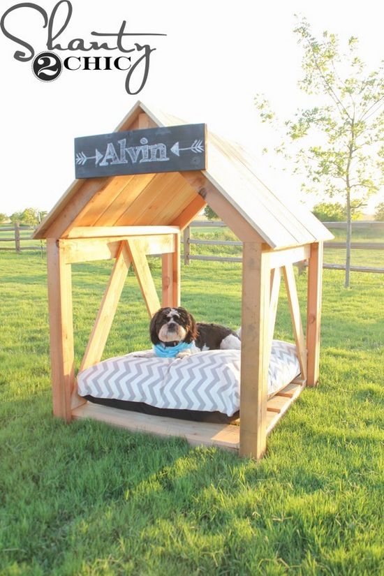 Build The DIY Dog House