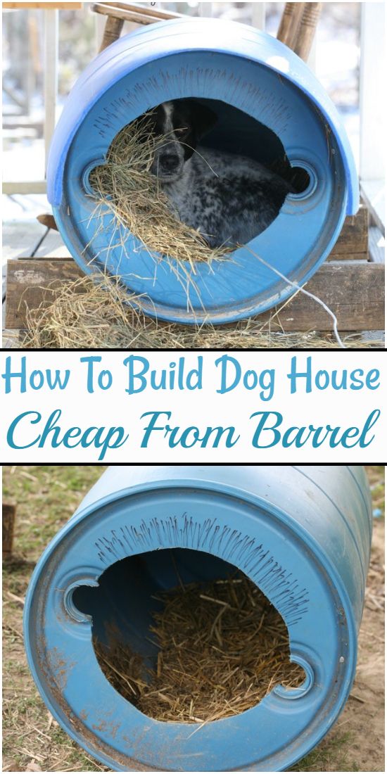 How To Build Dog House Cheap From Barrel