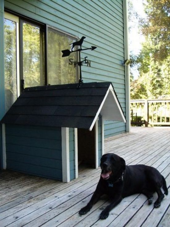 The Good Dog House For Good Dog