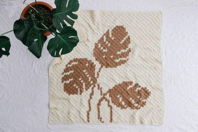 Montsera Leaf C2c Blanket Pattern