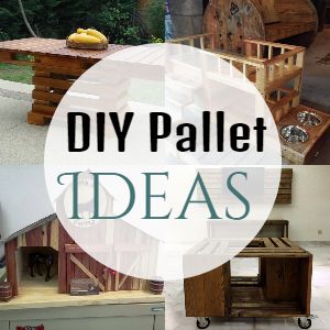 DIY Pallet Ideas