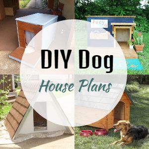48 Free DIY Dog House Plans With Details
