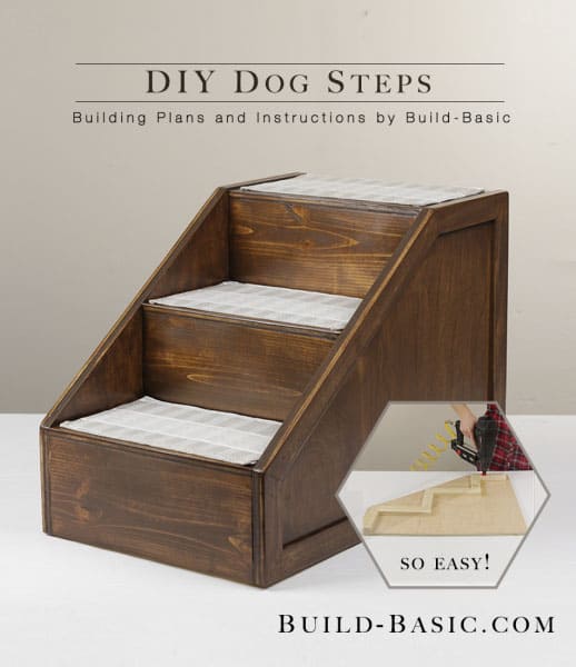 Beautiful Pet Steps