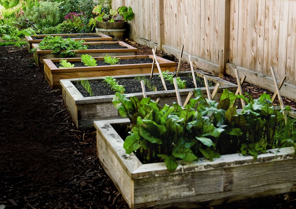 DIY Raised Garden Bed