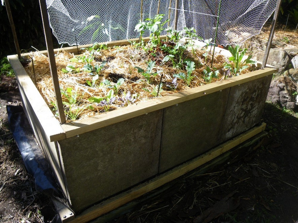 Making A Raised Garden Bed From Concrete Pavers