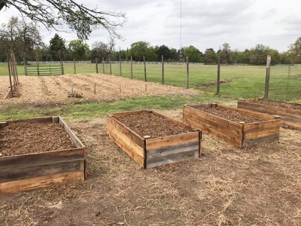 Simple DIY Raised Garden Beds
