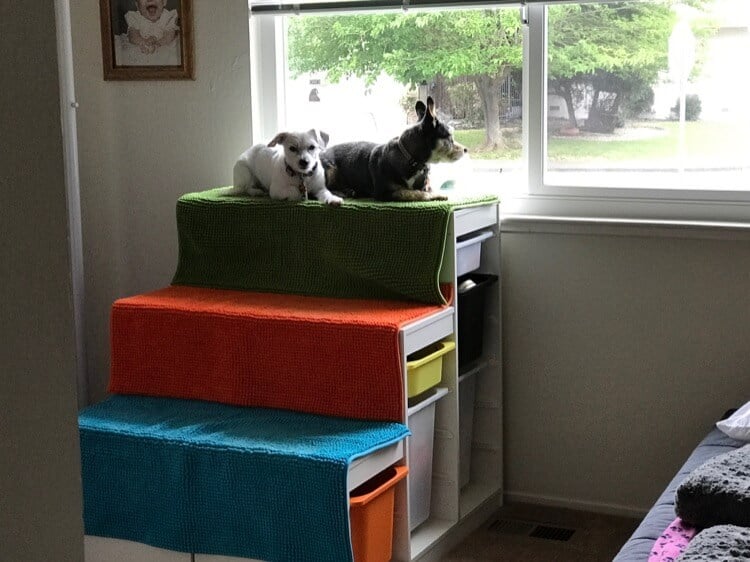 Window Perch Ramp