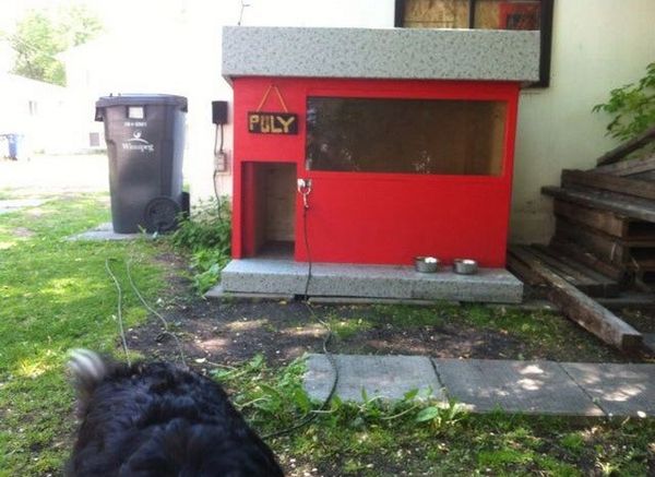 Slanted Dog House Design