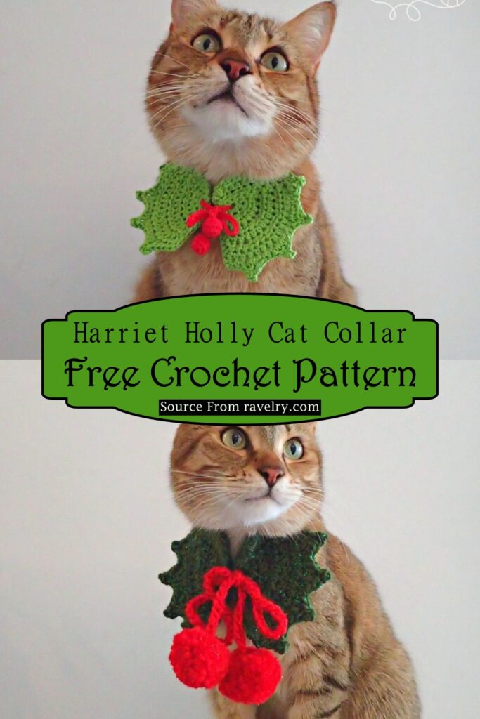 23 Free Crochet Collar Patterns - DIYnCrafty