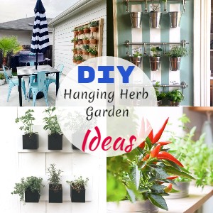 DIY Hanging Herb Garden Ideas