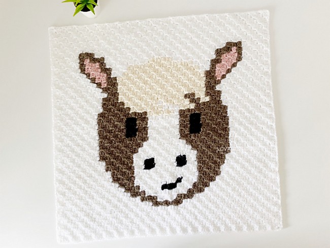 c2c Horse
