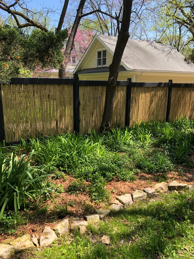 Bamboo Fence