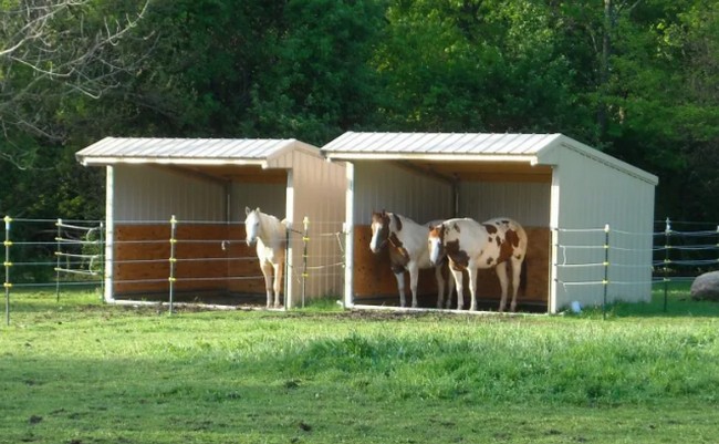 DIY 3-Sided Shelter for Your Horse