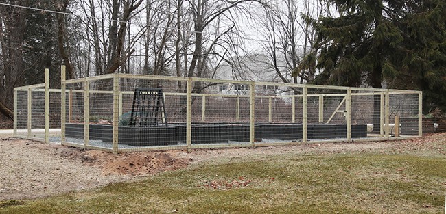 Impatient Gardener Garden Fence
