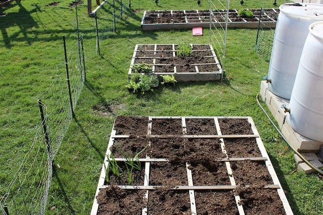 Inexpensive Fence