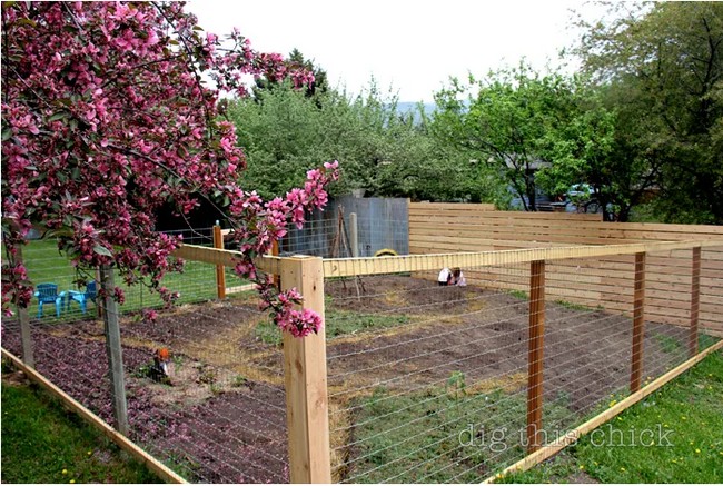 Tin Fence