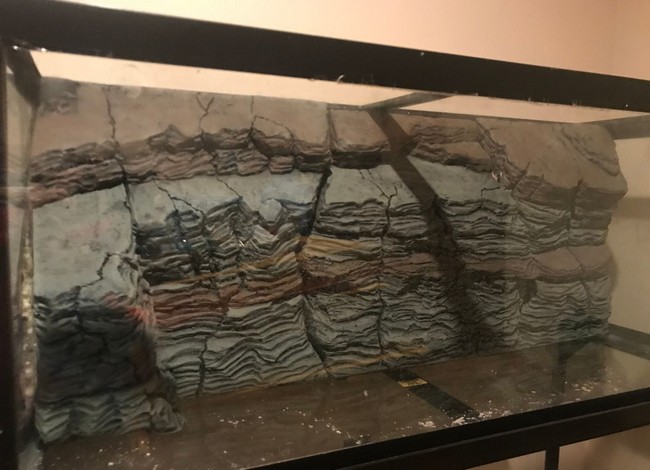 DIY 3D Styrofoam Aquarium Background