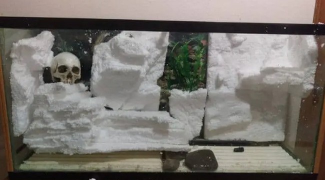 DIY Foam Aquarium Backgrounds
