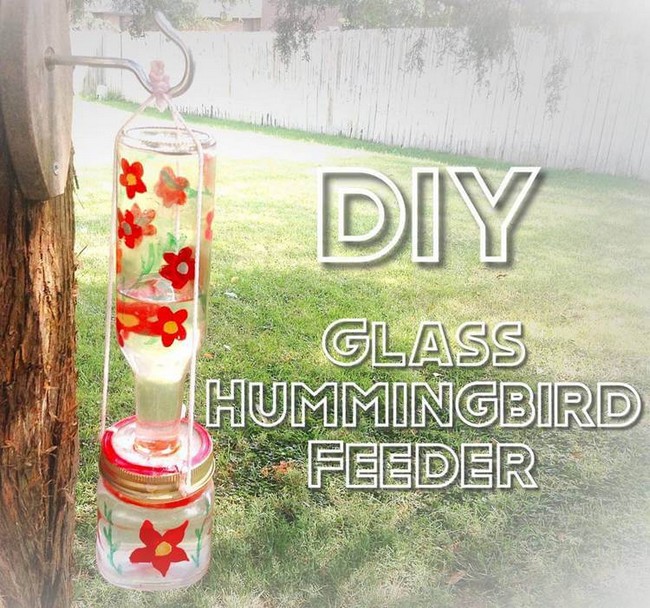 Glass Feeder for birds