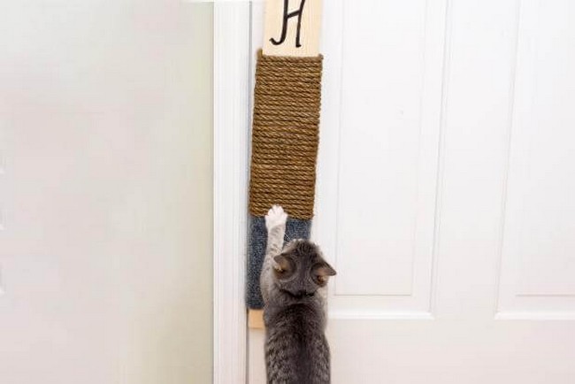  Scratching Pad for feline 