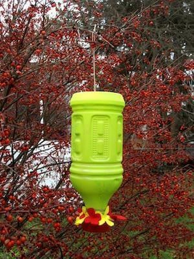 easy to make feeeder to attract nectar lover birds