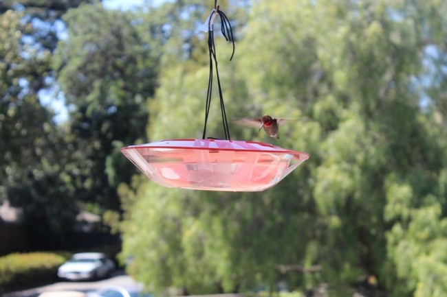 DIY Saucer bird attracter