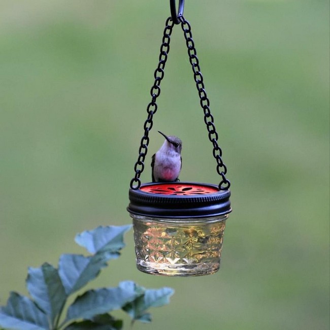 Make A Hummingbird Feeder