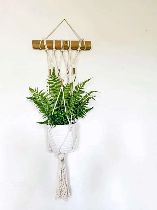 Easy DIY Macrame Plant Hanger Wall Hanging