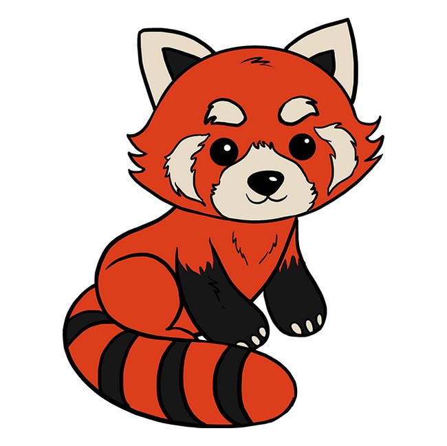 How To Draw A Red Panda
