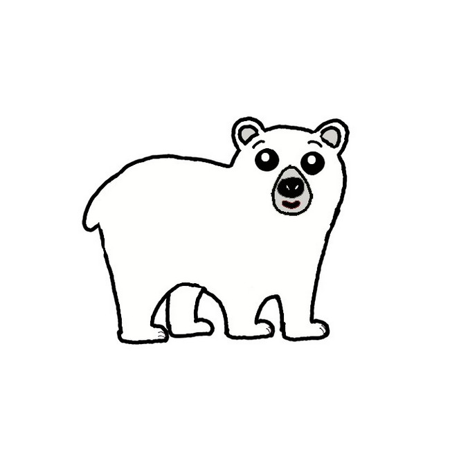 Polar Bear Drawing Easy