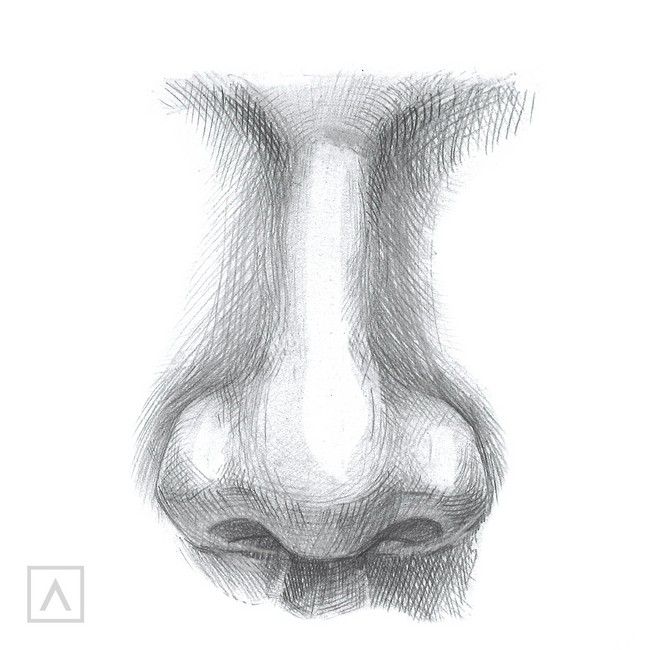 How To Draw A Nose In Just 5 Steps