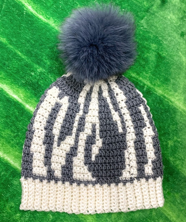 Crochet Zebra Beanie