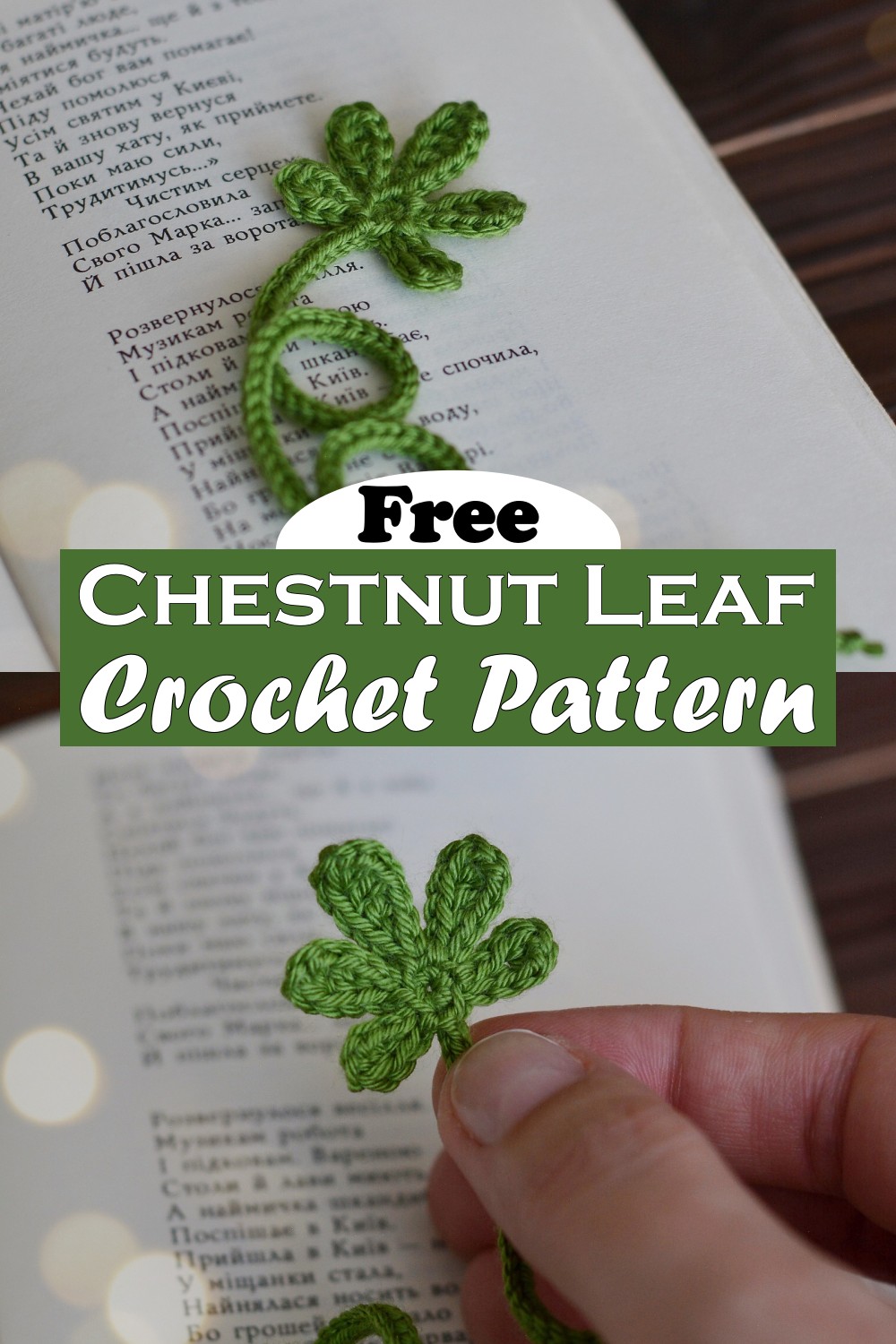 Chestnut Leaf